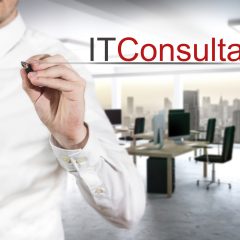 it consultant